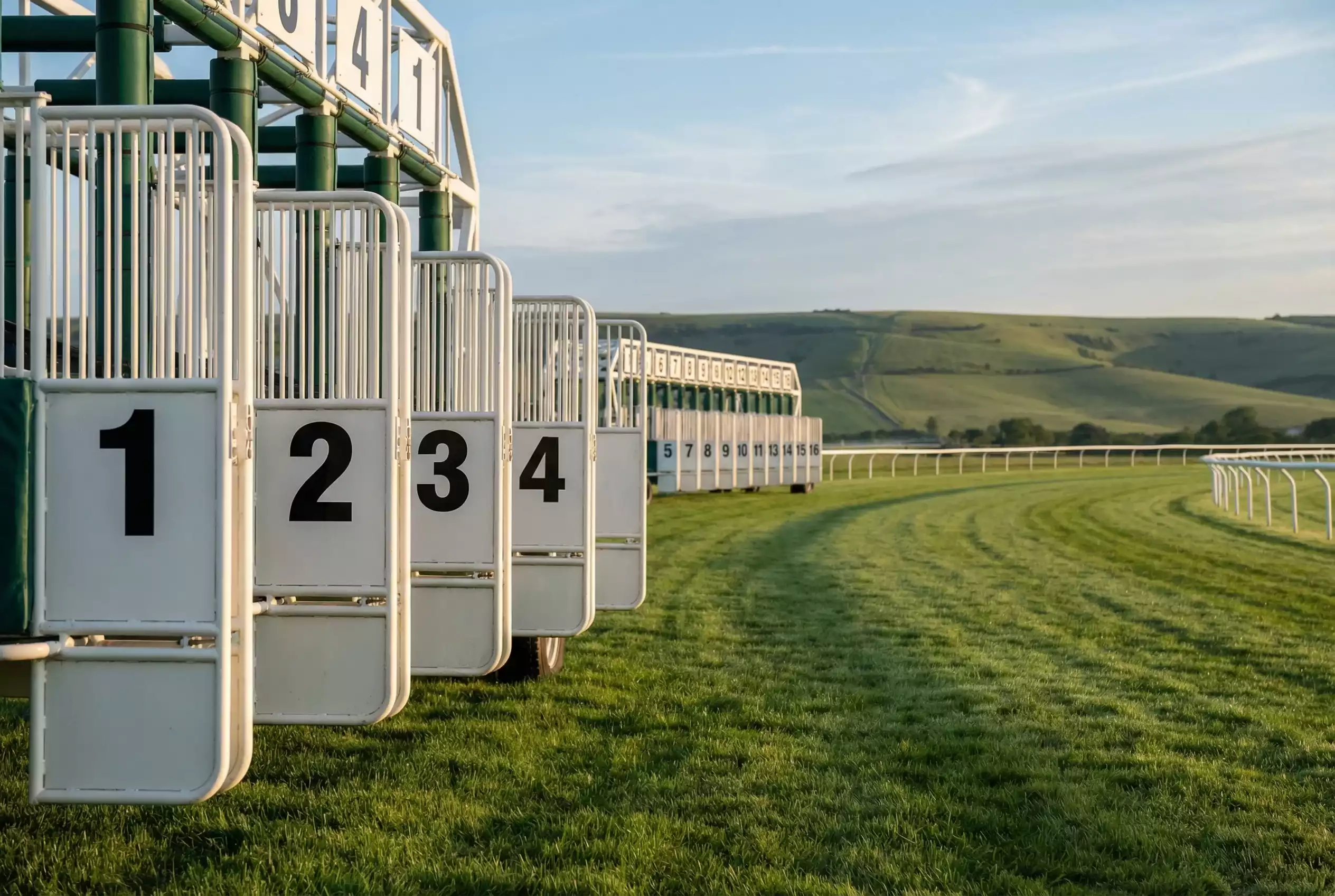 Starting stalls at Goodwood racecourse showing draw bias positions on the sprint course