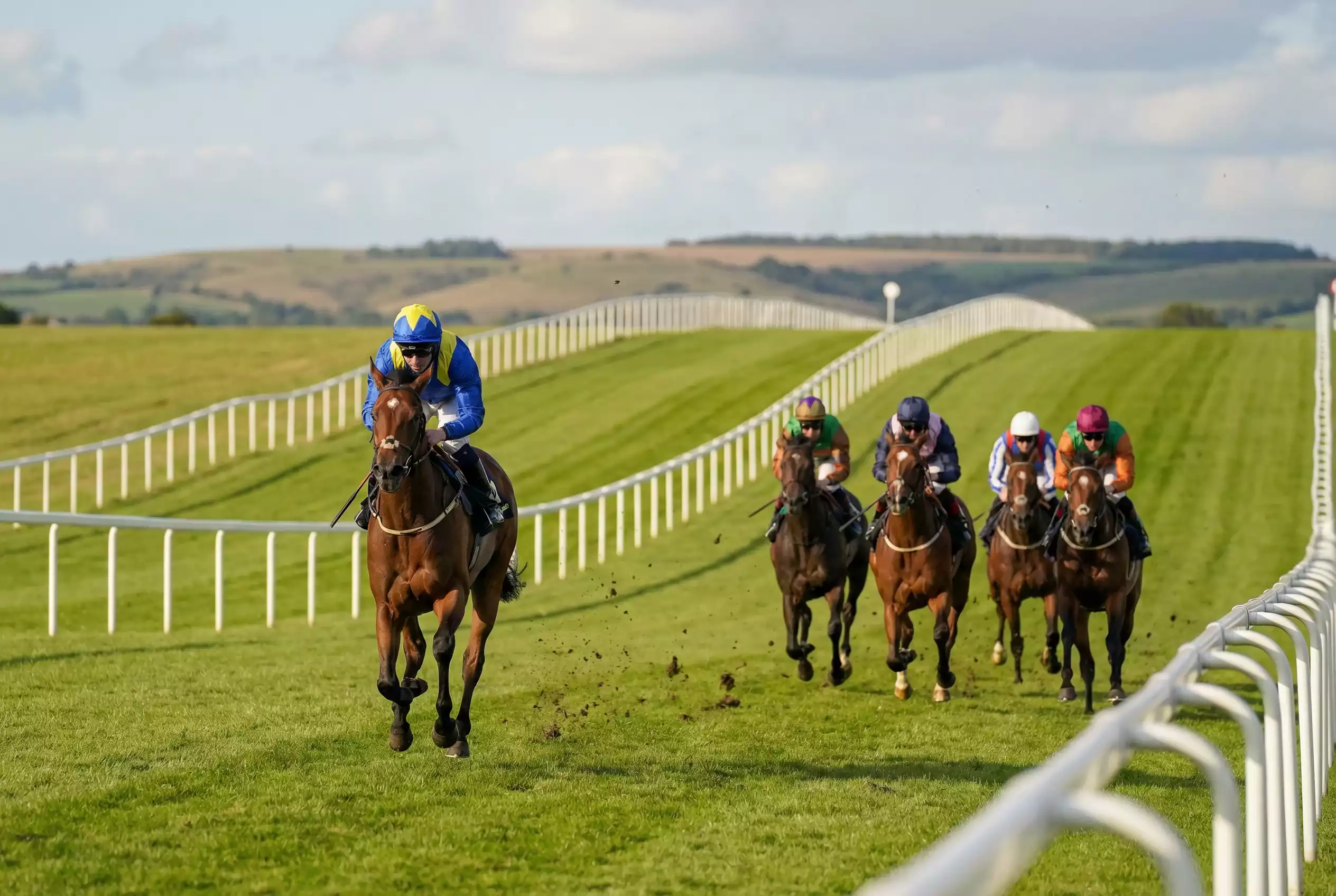 A lone front-running horse leading the field up the hill at Goodwood with hold-up horses tracking behind