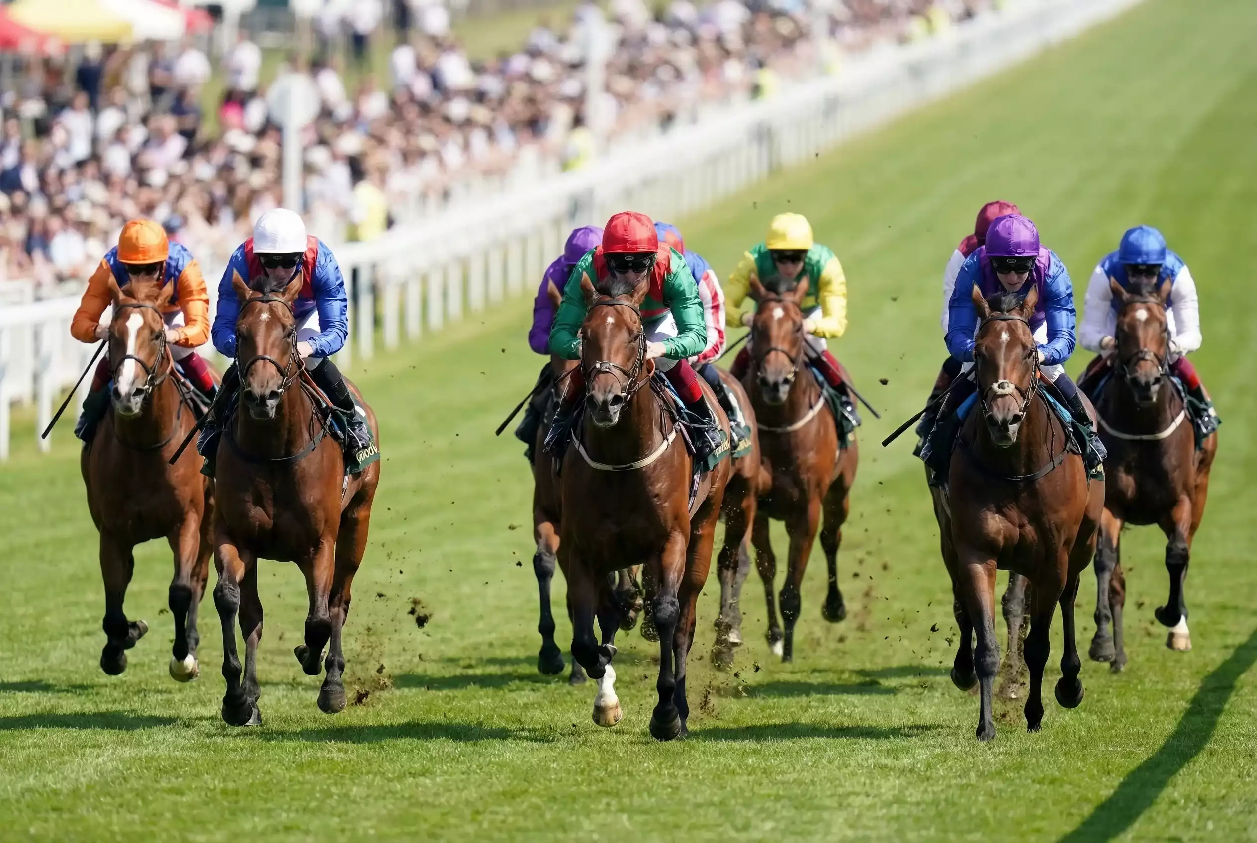 Sprint racehorses powering down the straight five-furlong course at Goodwood at full gallop