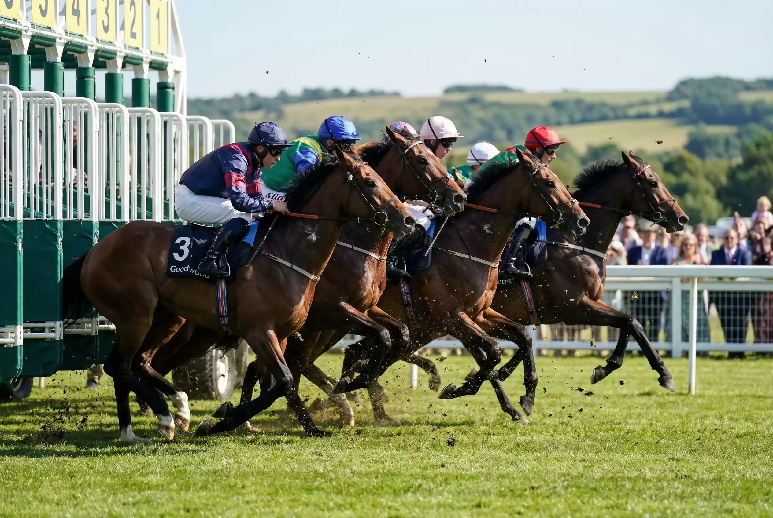Sprinters exploding out of the stalls at Goodwood for a five-furlong flat sprint race