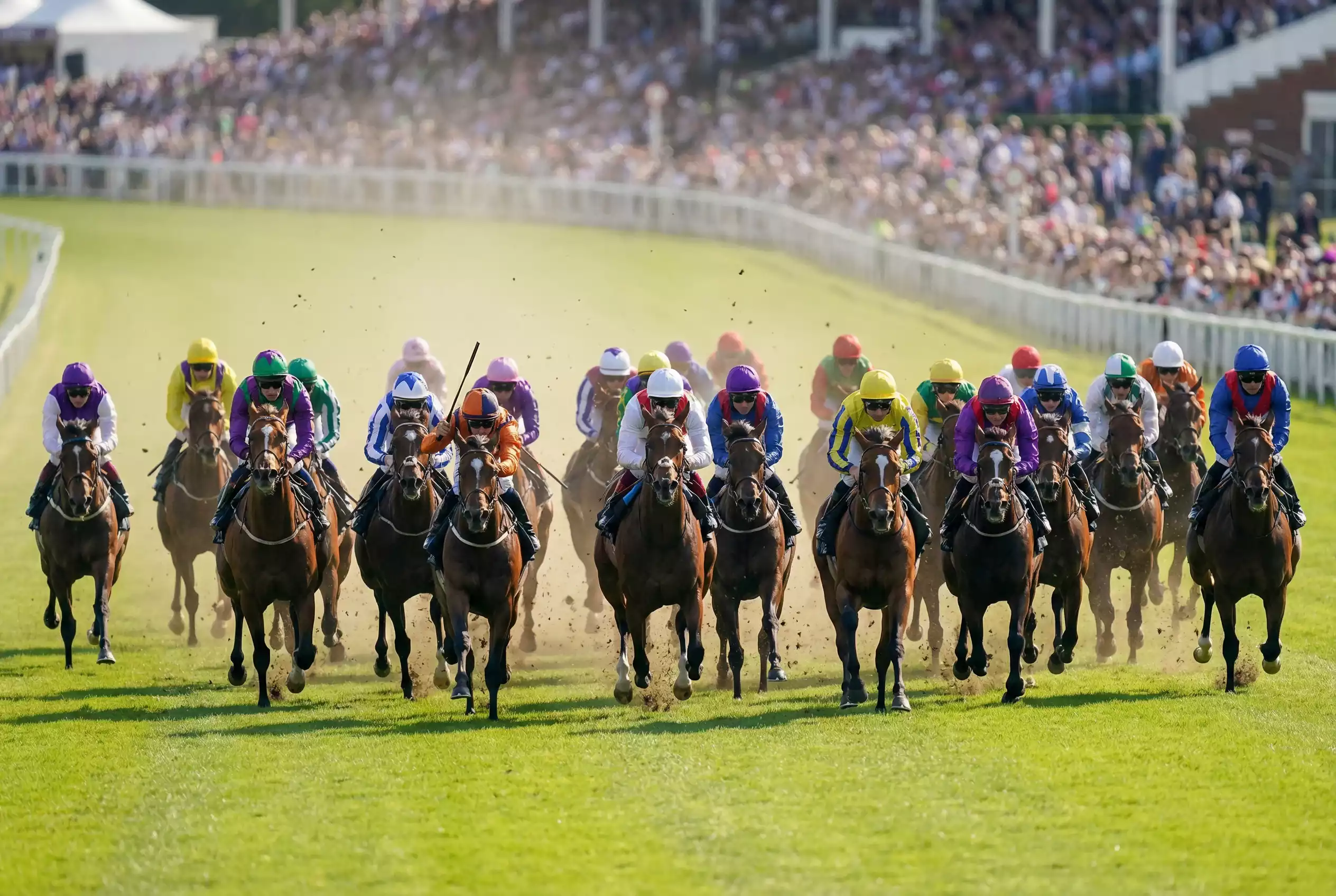Large field of horses racing in the Stewards