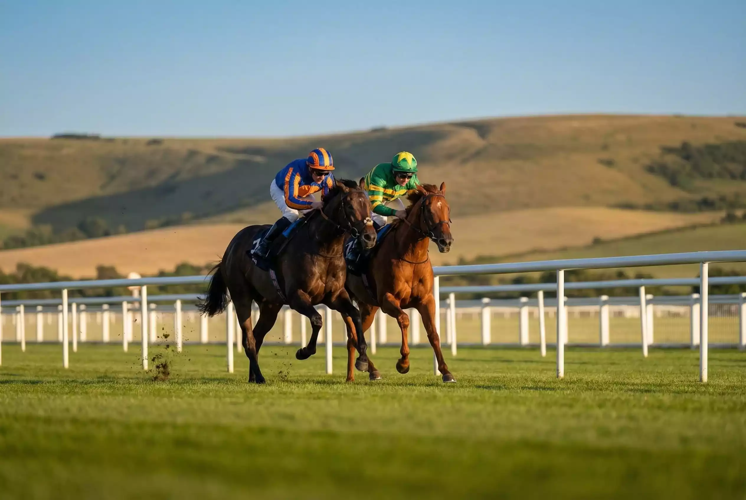 Thoroughbred horses racing the final furlong on the straight mile course at Goodwood racecourse on a summer day